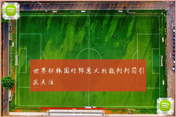 世界杯韩国对阵意大利裁判判罚引发关注