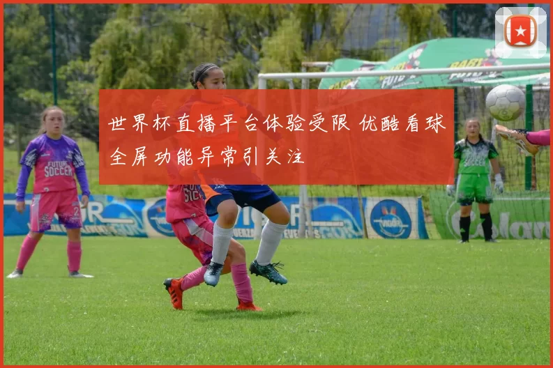 世界杯直播平台体验受限 优酷看球全屏功能异常引关注