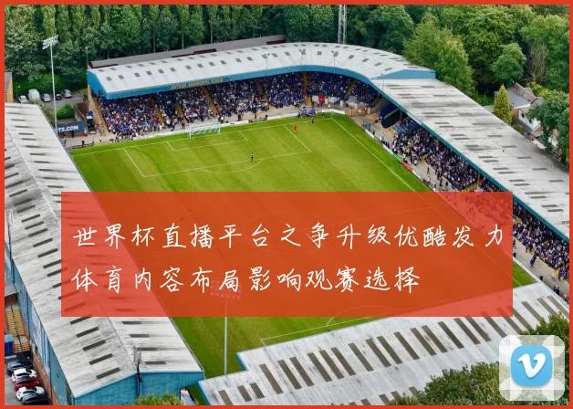 世界杯直播平台之争升级优酷发力体育内容布局影响观赛选择